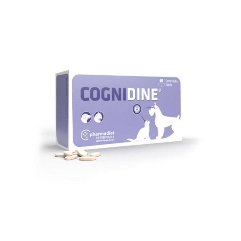 COGNIDINE 60comp