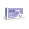 COGNIDINE 60comp