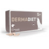 DERMADIET ZINC 60cp