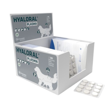 HYALORAL PLASMA 360cp