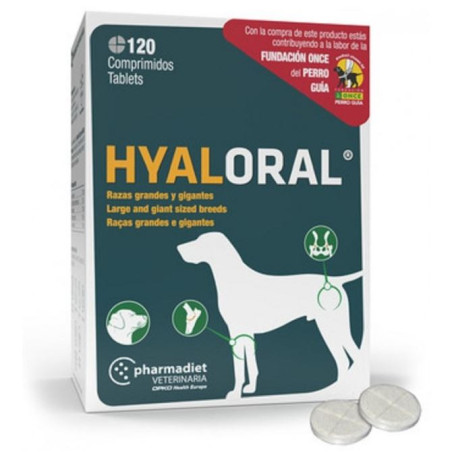 HYALORAL RZ GDES Y- GIGAN 120cp