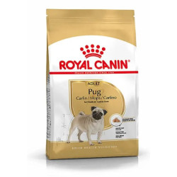 Royal Canin Perro Pug Adult 1,5kg