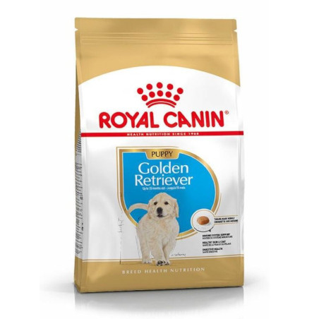 Royal Canin Perro Golden Retriever Puppy 12kg