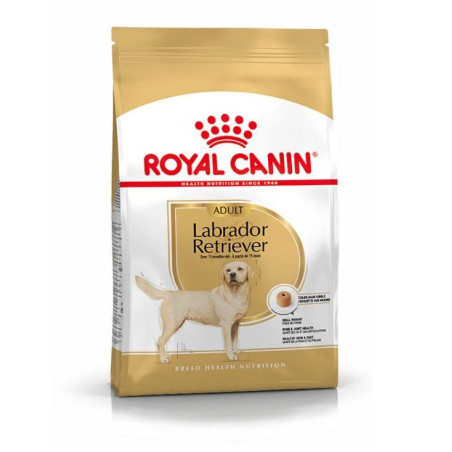 Royal Canin Perro Labrador Retriever Adult 3kg