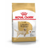 Royal Canin Perro Labrador Retriever Adult 3kg
