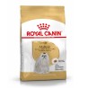 Royal Canin Perro Maltese Adult 1,5kg