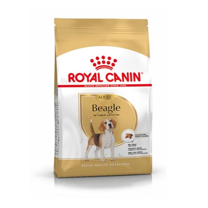 Royal Canin Perro Beagle Adult 12kg