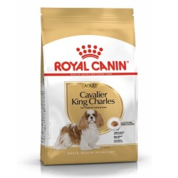 Royal Canin Perro Cavalier King Charles Adult 3kg