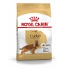 Royal Canin Perro Cocker Adult 12kg