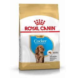 Royal Canin Perro Cocker Puppy 3kg