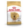 Royal Canin Perro Great Dane Adult 12kg