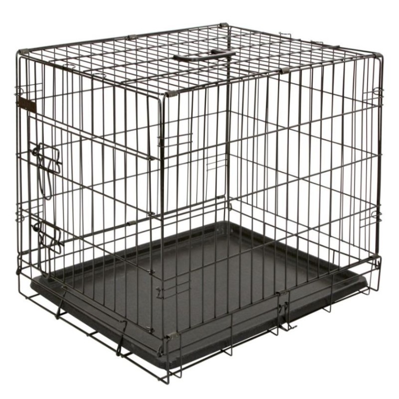 Box Canino 60