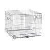 Box Canino 75