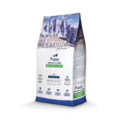 Evoque Puppy Medium Large Wild Boar & Lamb 2 kg