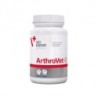 Vet Expert Arthrovet Ha 60 Comprimidos
