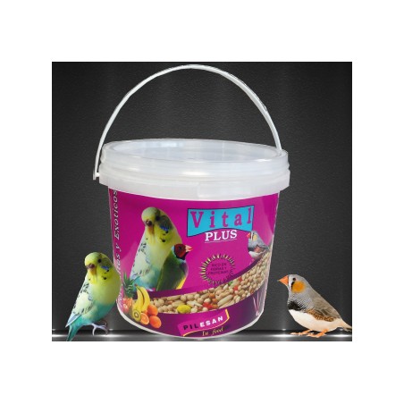 Vital Plus Pericos y Exóticos Cubo 5,5 L