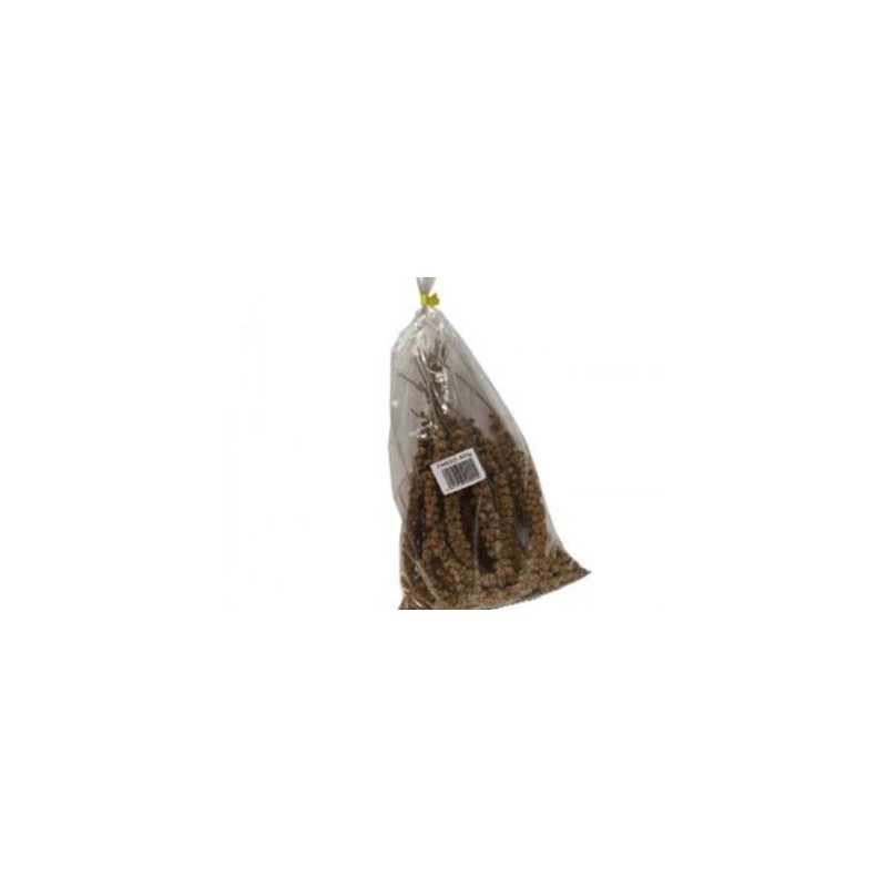 Panizo En Espiga Bolsa de 1 kg