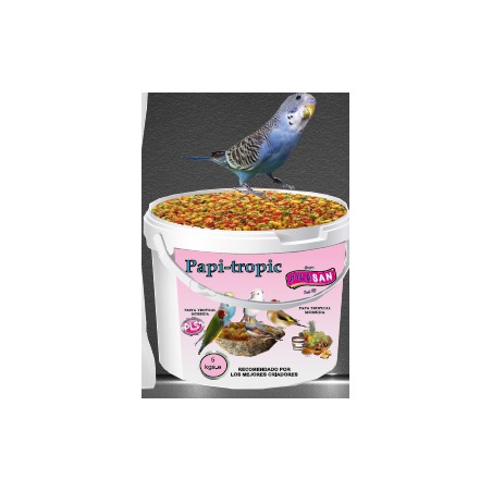 Papi Tropic Pasta de Cría Tropical Morbida