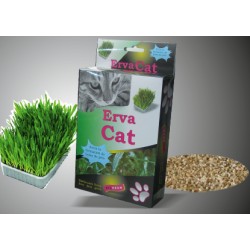 Erva Cat