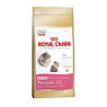 ROYAL CANIN KITTEN PERSIAN