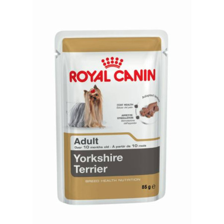 Yorkshire adulto sobre comida humeda 85grs