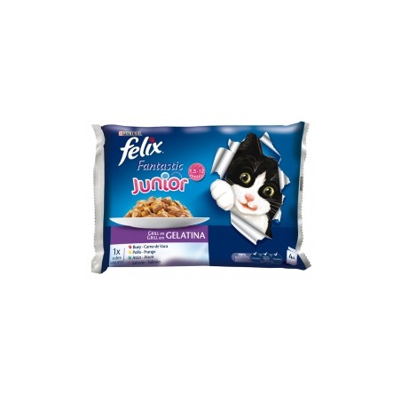 Felix Junior gelatina 4 sobres de 100gr (Buey, Pollo, Salmón, Atún)