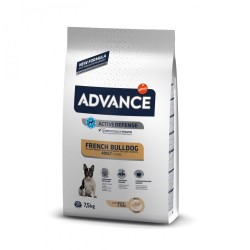 Advance Bulldog Frances
