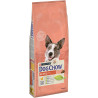 Dog Chow Active