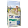 Dog Chow Light