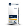 Advance Veterinary Renal Failure Canine