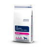 Advance Veterinary Urinary Canine