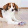2 Calcetines Perro, Antideslizante, XS-S, Gris