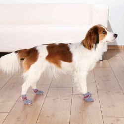 2 Calcetines Perro, Antideslizante, L-XL, Gris
