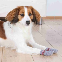 2 Calcetines Perro, Antideslizantes, LXL, Gris