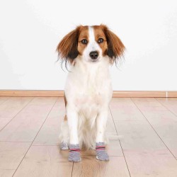 2 Calcetines Perro, Antideslizantes, LXL, Gris