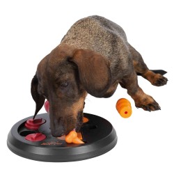 Dog Activity Flip Board, ø23 x 3 cm, Niv.2
