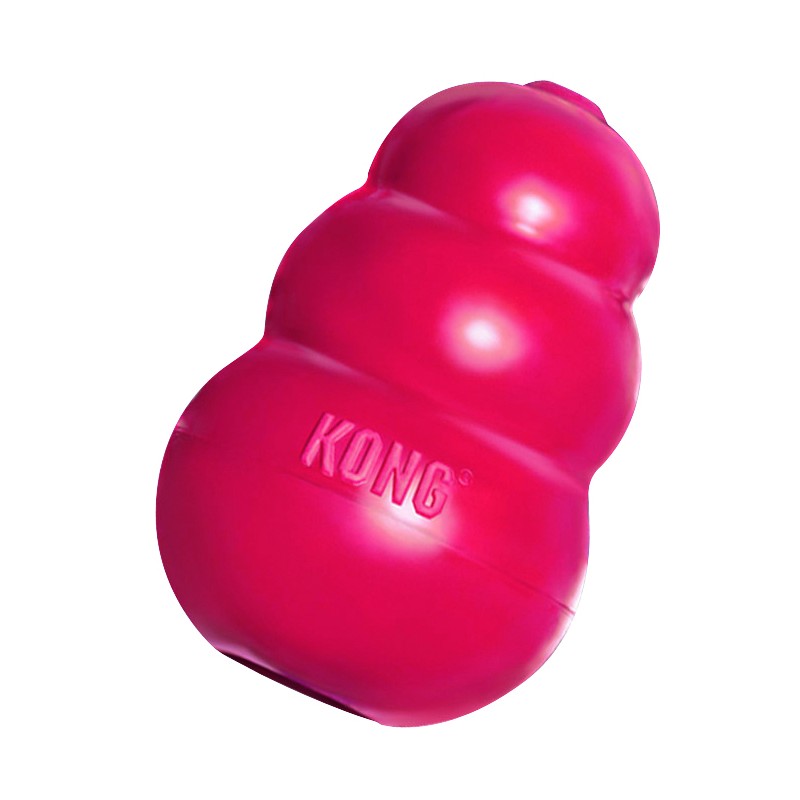 Kong para Hurones