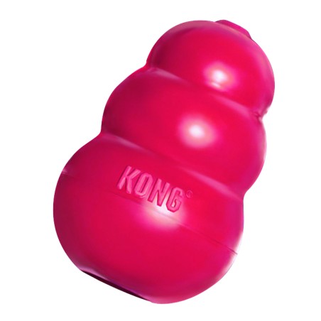 Kong para Hurones