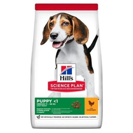 Hills SP Canine Puppy Healthy Development Razas Medianas con Pollo