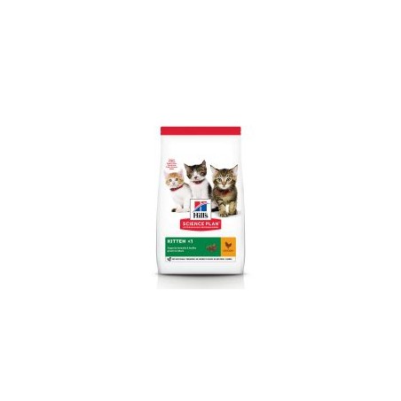 Hills SP Feline Kitten Healthy Development Pollo