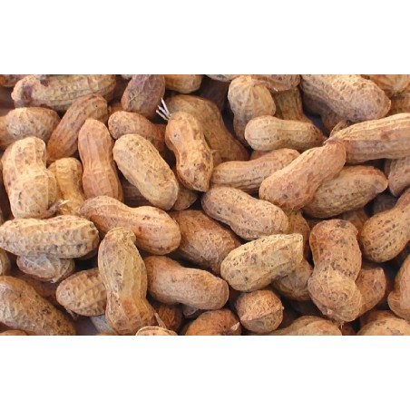  Cacahuetes 