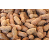  Cacahuetes 