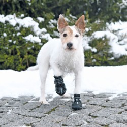 2 Botas Protectoras Walker Active, Extra, S, Negro