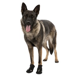 2 Botas Protectoras Walker Active, Extra, L, Negro