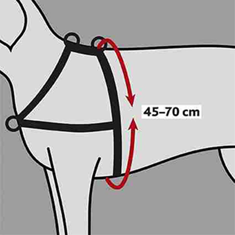 Arnés Guía Soft, SM, 4570 cm/25 mm, Negro
