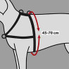 Arnés Guía Soft, SM, 4570 cm/25 mm, Negro