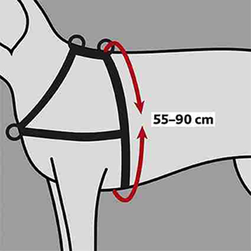 Arnés Guía Soft, ML, 5590 cm/25 mm, Negro