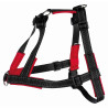 Arnés Guía Soft, LXL, 65105 cm/25 mm, Negro