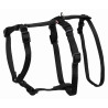 Arnés Guía Stay, SM, 4065 cm/15 mm, Negro