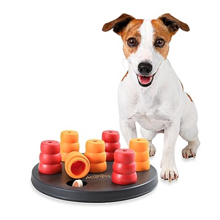 Juguetes interactivos perro